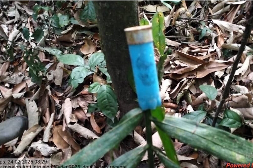 Rapport de mission LAI 17 au 26 mars 2025