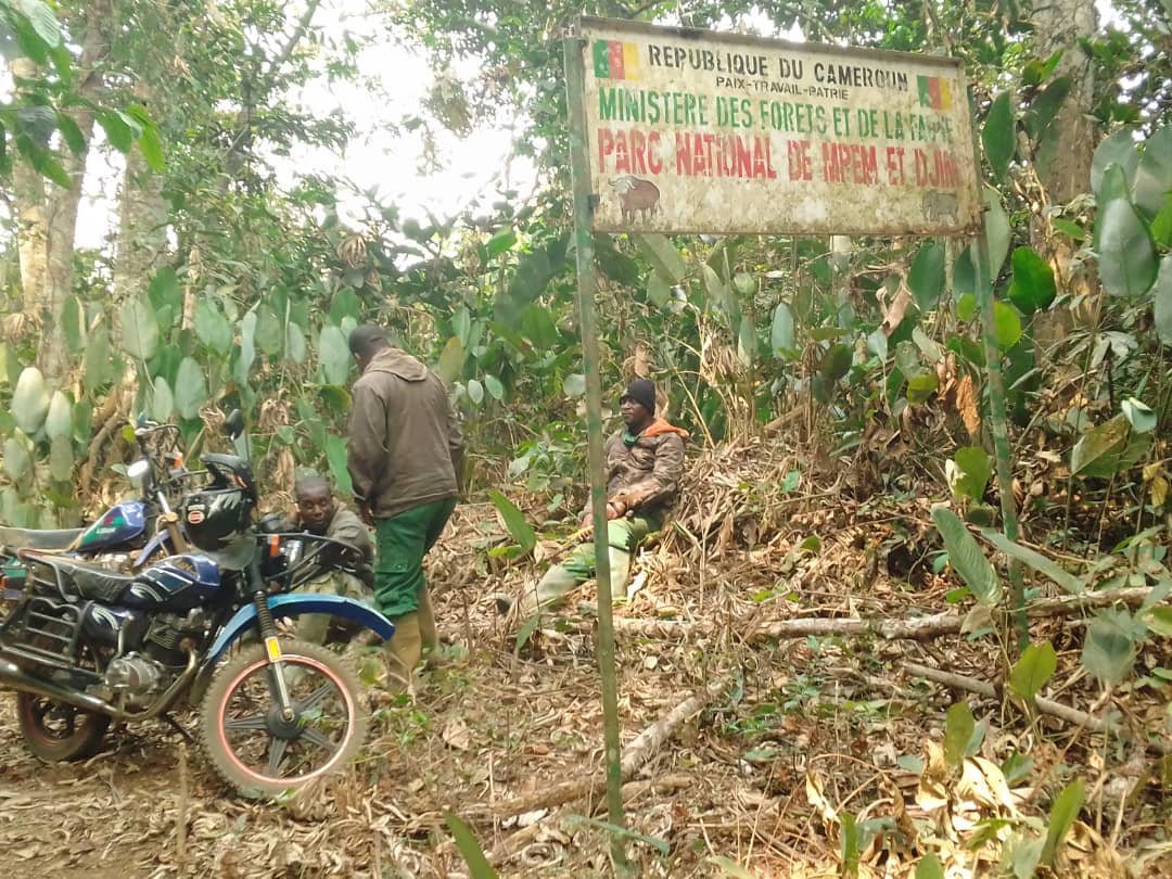 Mpem and Djim National Park thumbnail