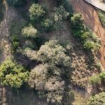 Rapport de mission LAI 23 au 27 février 2025