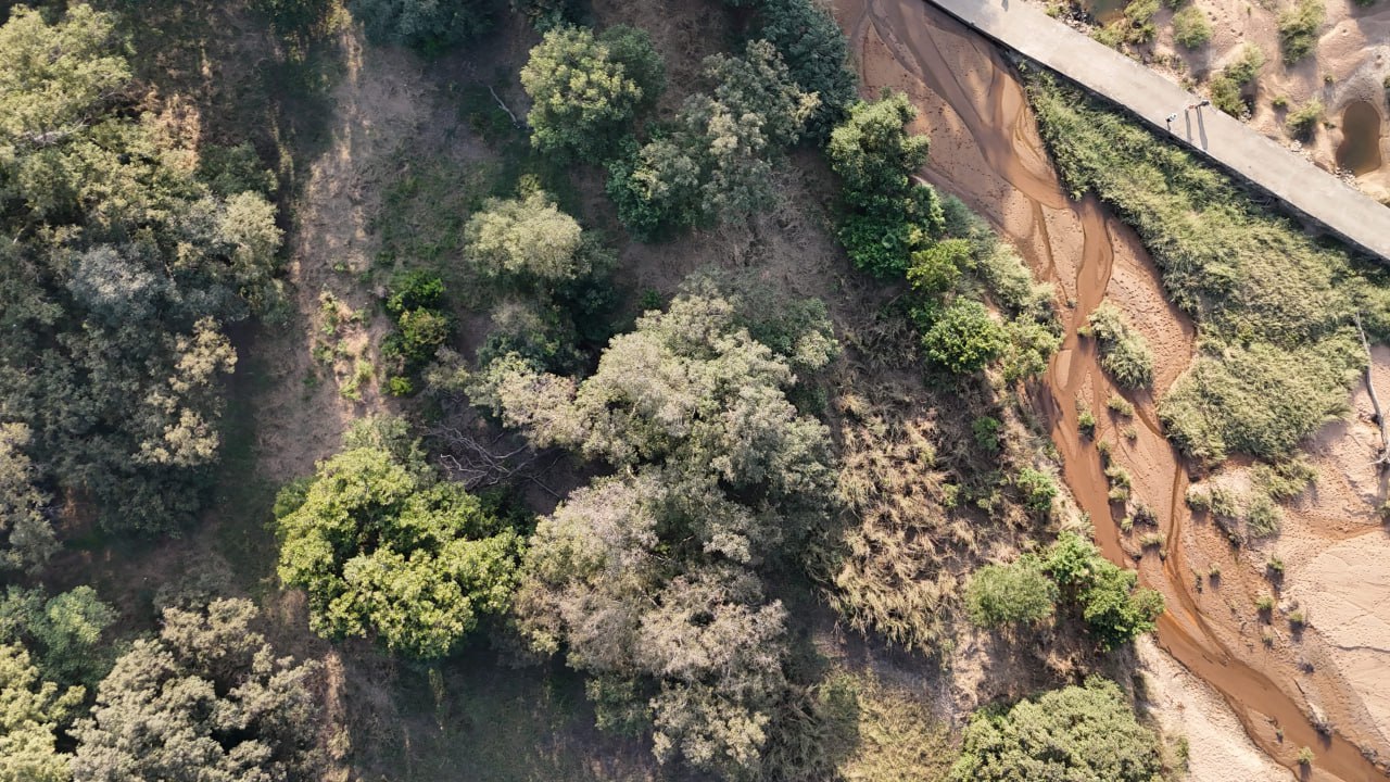 You are currently viewing Rapport de mission LAI 23 au 27 février 2025